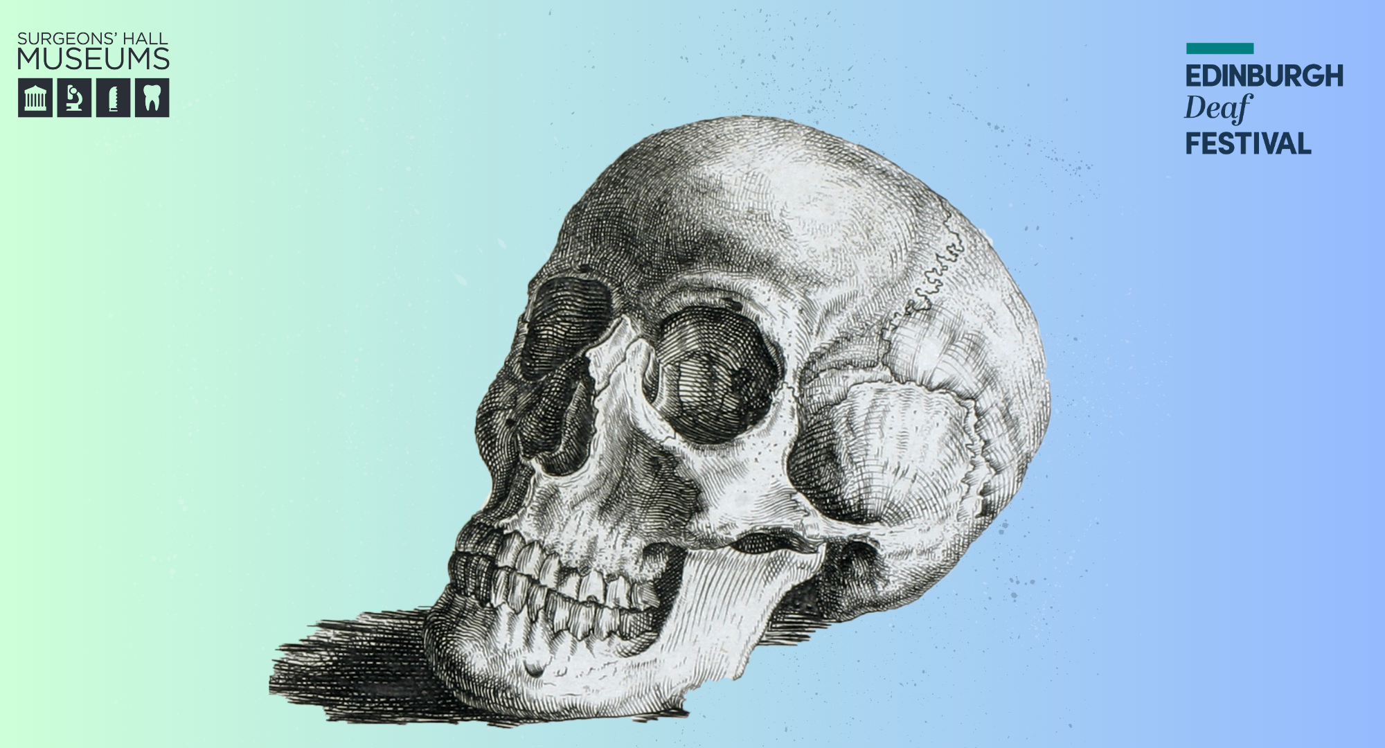 Animated drawing of a skull for the BSL Blood and Guts Tour